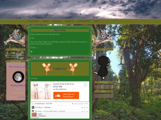 home screenshot