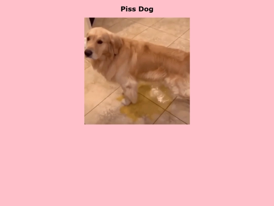 secret screenshot