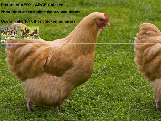 chickenpicture screenshot