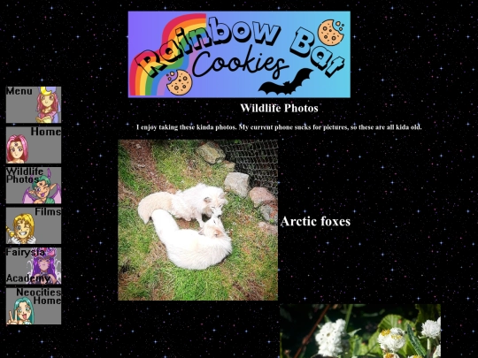 wildlifephotos screenshot