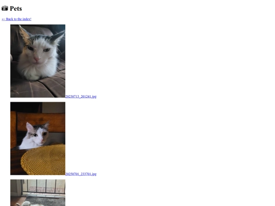 gallery page/pets screenshot