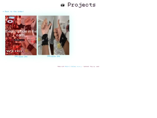 gallery page/projects screenshot