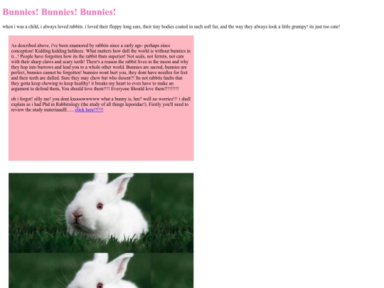 BunBun screenshot