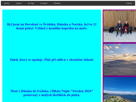 PRZD screenshot