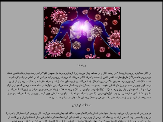 index-f-3 screenshot
