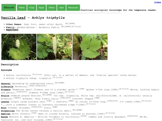 Achlys triphylla screenshot
