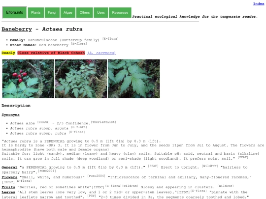 Actaea rubra screenshot