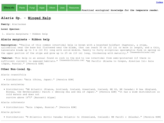 Alaria Sp screenshot