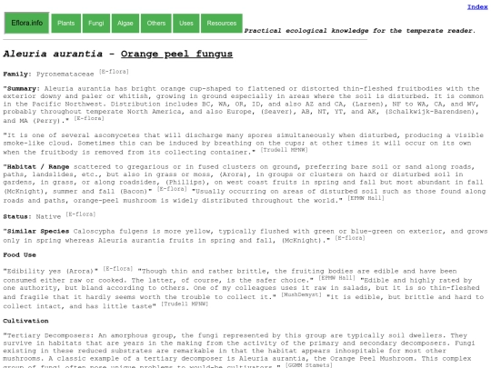 Aleuria aurantia screenshot