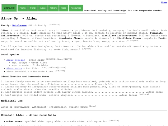 Alnus Sp screenshot