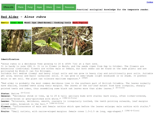 Alnus rubra screenshot