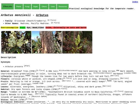 Arbutus menziesii screenshot