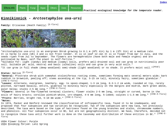 Arctostaphylos uva-ursi screenshot