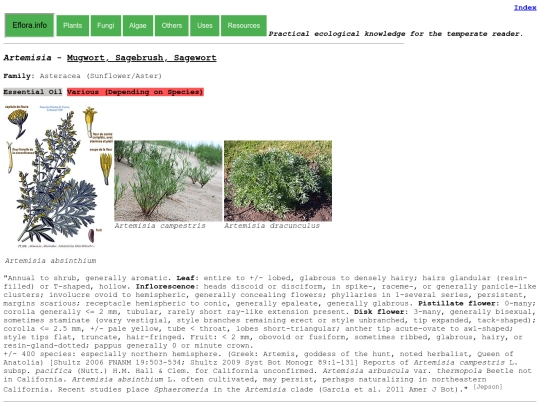 Artemisia screenshot