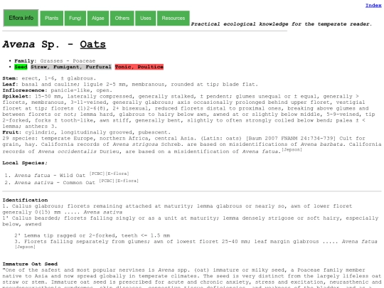 Avena Sp screenshot