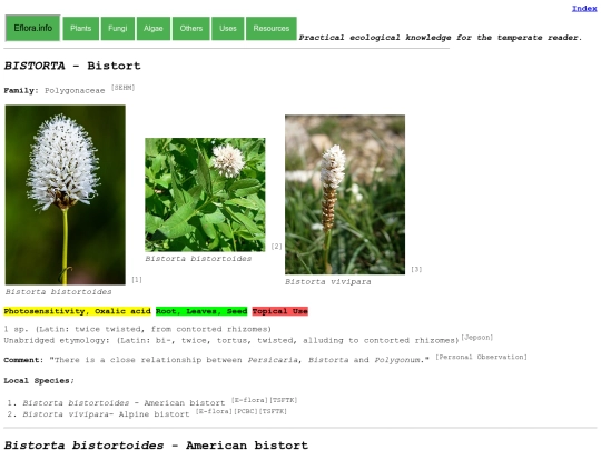 Bistorta screenshot