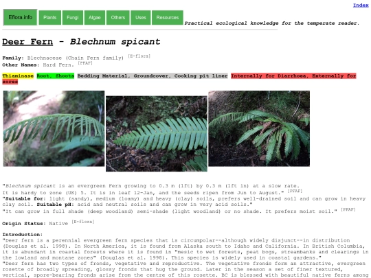 Blechnum spicant screenshot