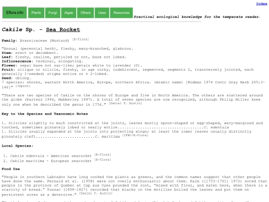 Cakile Sp screenshot
