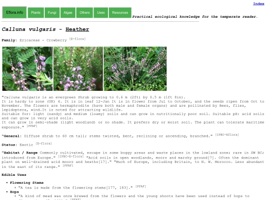 Calluna vulgaris screenshot