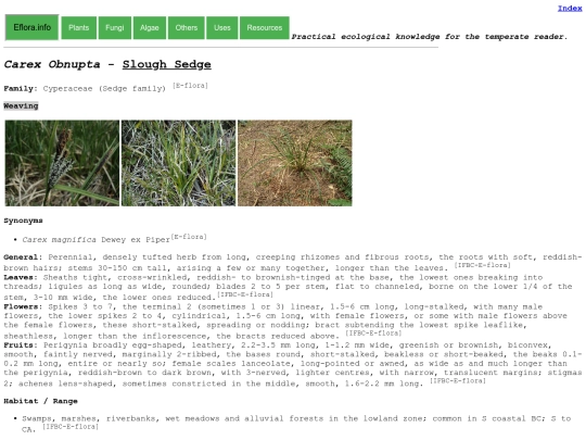 Carex obnupta screenshot