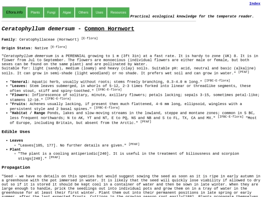 Ceratophyllum demersum screenshot