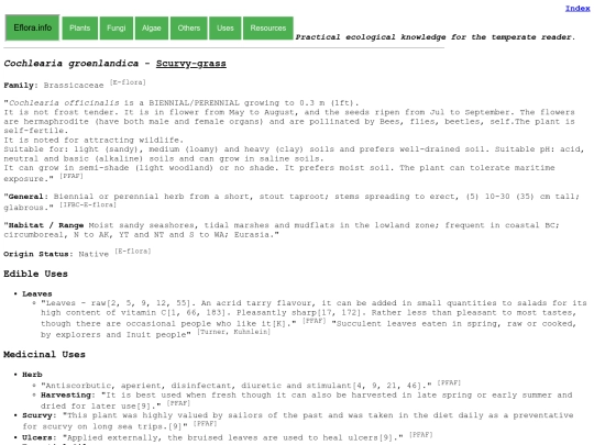 Cochlearia groenlandica screenshot