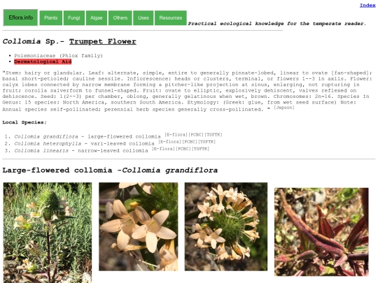Collomia screenshot