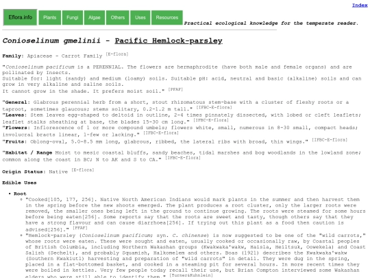 Conioselinum gmelinii screenshot