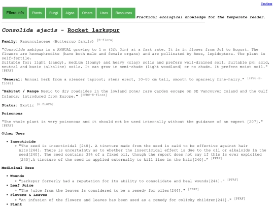 Consolida ajacis screenshot
