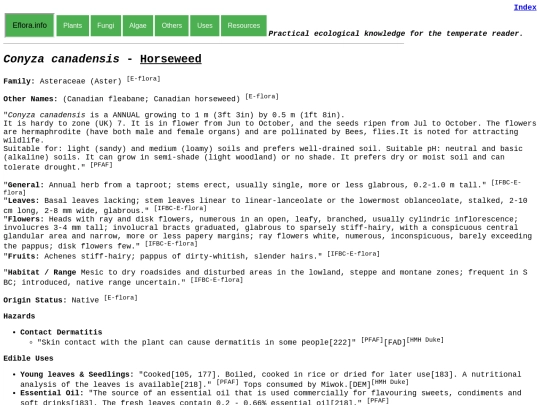 Conyza canadensis screenshot