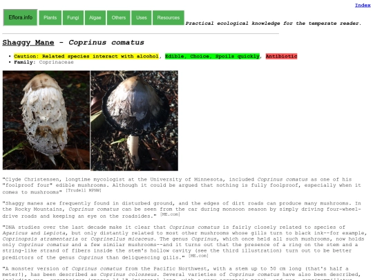 Coprinus comatus screenshot