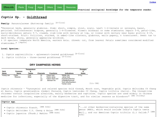 Coptis Sp screenshot