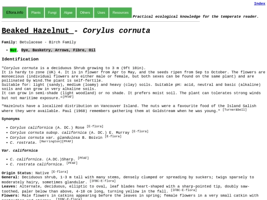 Corylus cornuta screenshot