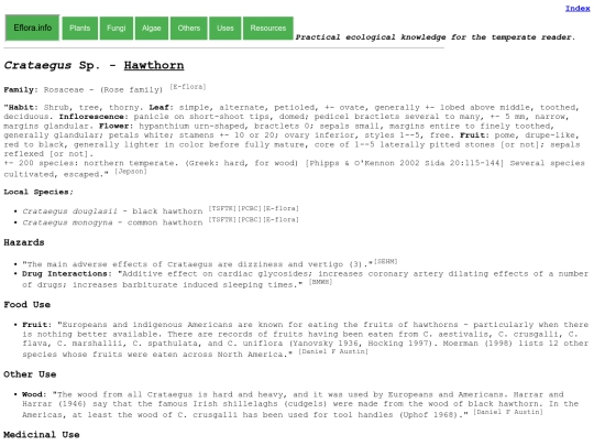 Crataegus Sp screenshot
