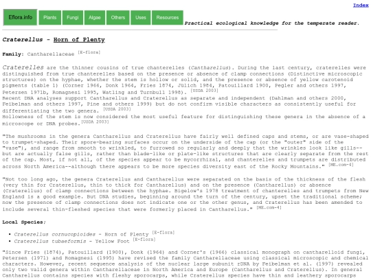 Craterellus Sp screenshot