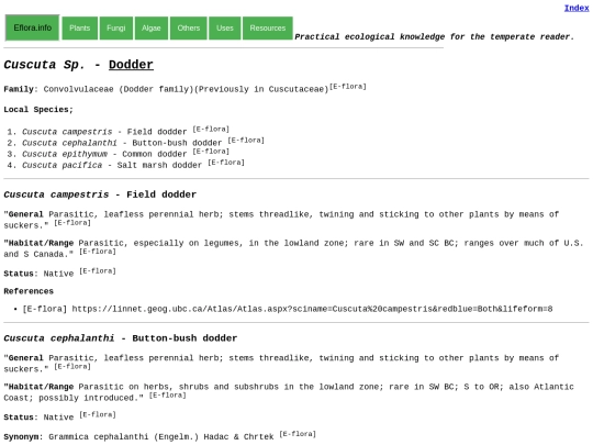 Cuscuta Sp screenshot