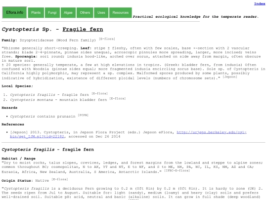 Cystopteris Sp screenshot