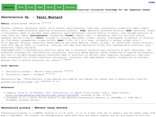 Descurainia Sp screenshot