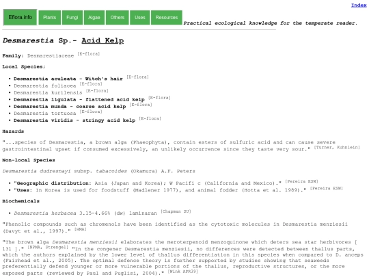 Desmarestia Sp screenshot