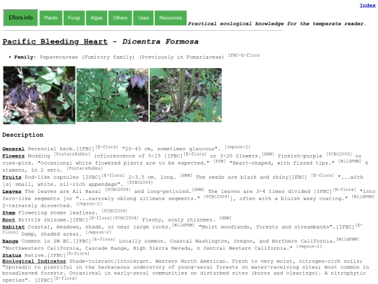 Dicentra Formosa screenshot