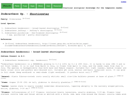 Dodecatheon Sp screenshot