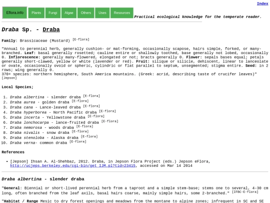 Draba Sp. screenshot