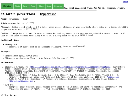 Elliottia pyroliflora screenshot