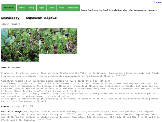 Empetrum nigrum screenshot