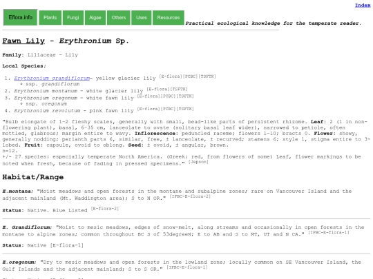 Erythronium Sp screenshot