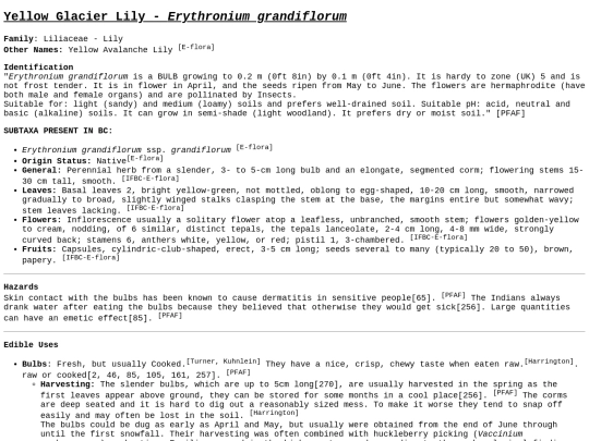 Erythronium grandiflorum screenshot