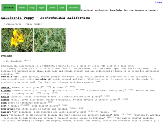 Eschscholzia californica screenshot