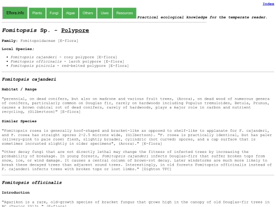 Fomitopsis Sp screenshot