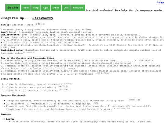 Fragaria Sp screenshot