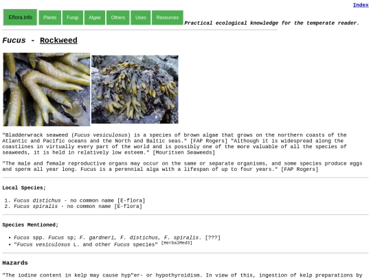 Fucus Sp screenshot